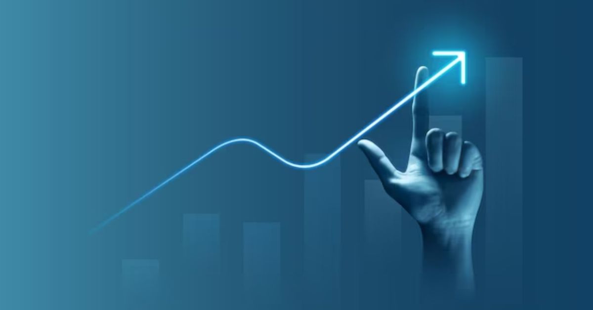 Investment & Asset Management